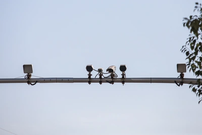 Власти Ростовской области выделят 40 млрд на камеры фиксации