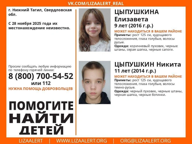 Источник: Поисковый отряд «ЛизаАлерт» Свердловской области