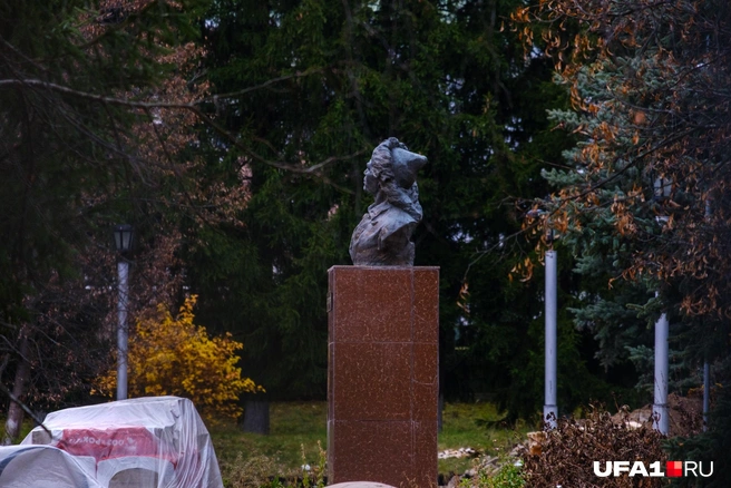 Смотрит и думает, когда же закончатся дожди | Источник: Булат Салихов / UFA1.RU