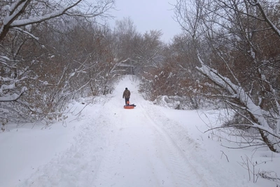 Следком предостерегает от буксировки тюбинга автомобилем