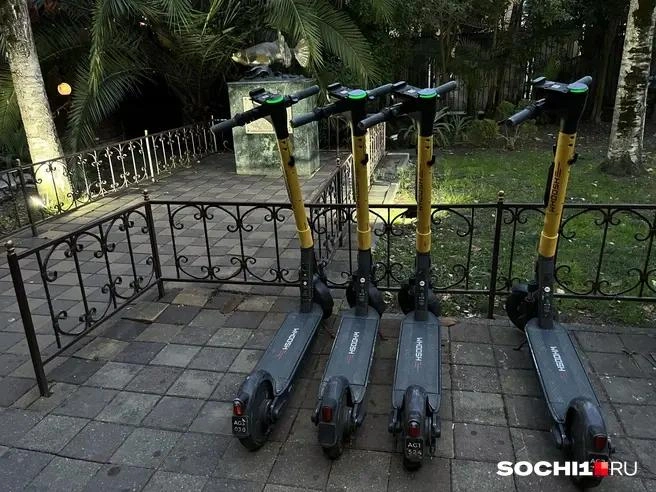 К самокатам нужно относится как к транспорту, а не как к развлечению | Источник: Анна Грицевич / SOCHI1.RU