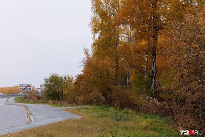 В Затюменском парке планируют спортивный комплекс и курорт
