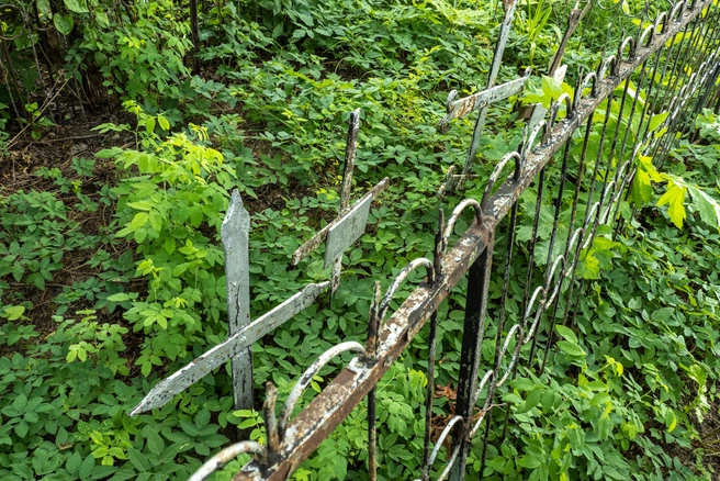 Планируется, в том числе, замена памятников | Источник: Михаил Огнев / FONTANKA.RU