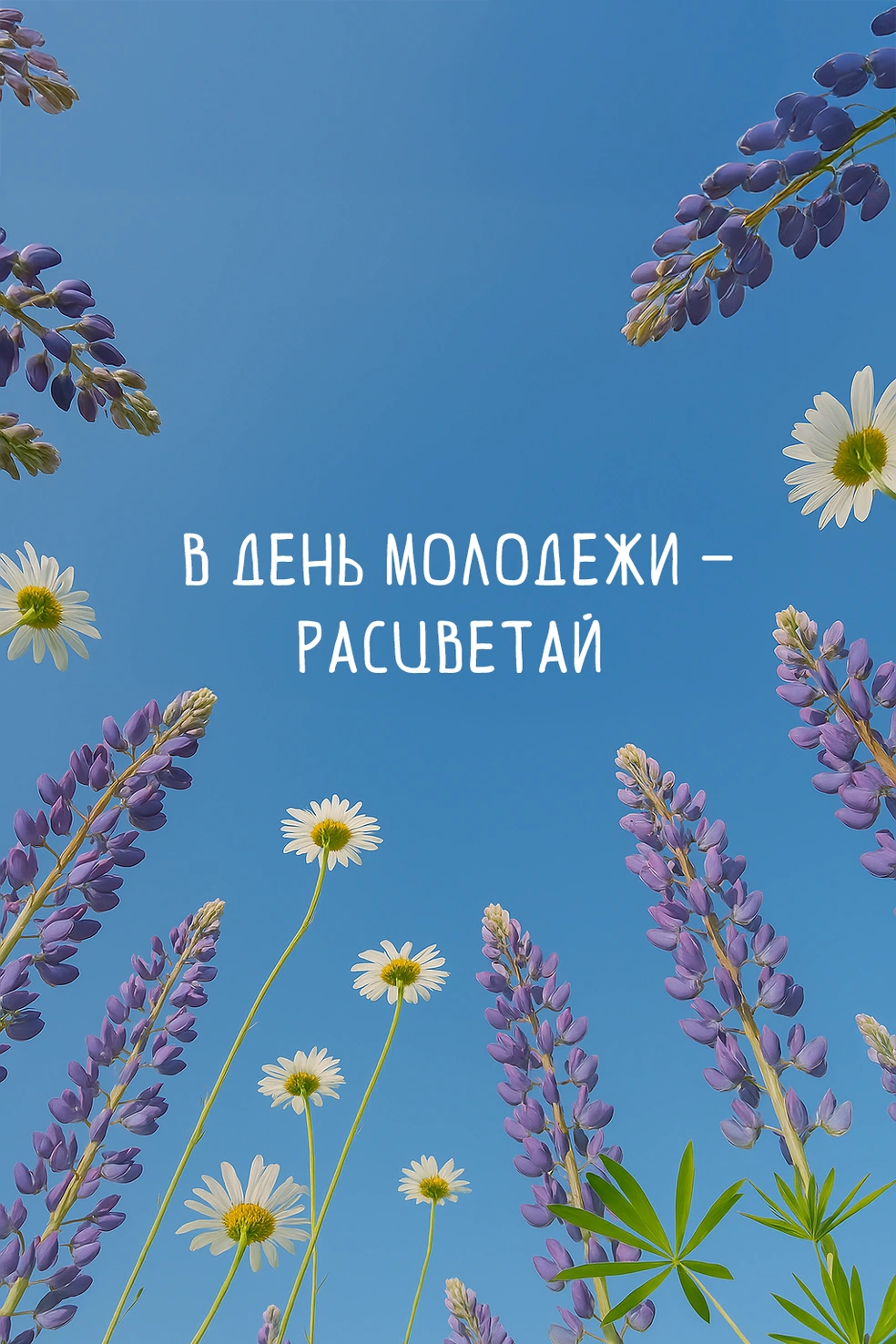 Источник: Городские медиа