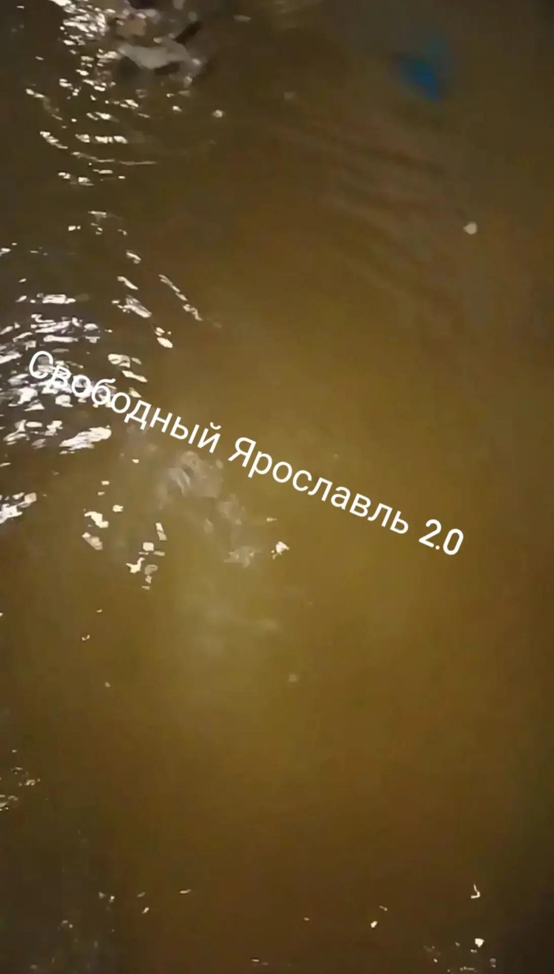 «Спасайте вещи»: в Ярославле мощно затопило подвал новостройки — видео