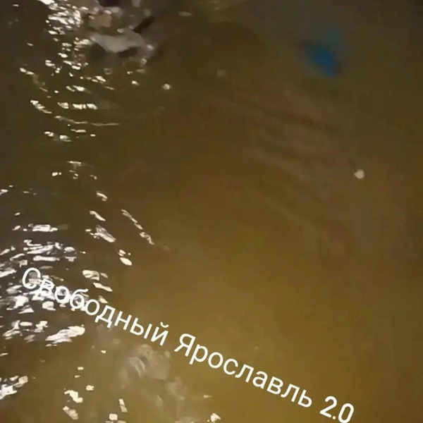 Коричневая вода залила некоторые вещи жильцов | Источник: Свободный Ярославль / Max