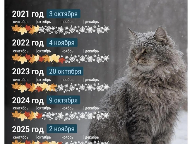 Источник: Дмитрий Гладышев / 72.RU