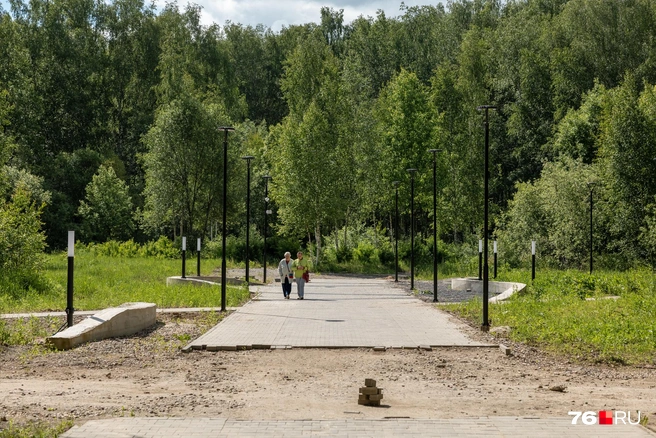 Но куда привела нас эта аллея&nbsp;— вопрос | Источник: Александр Куренной / 76.RU