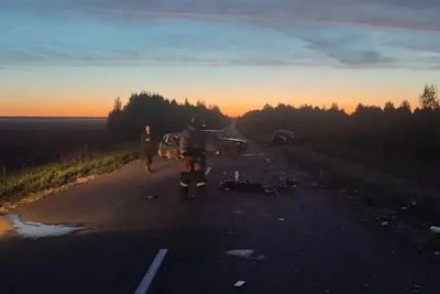 Сернурский житель виновен в смертельном ДТП