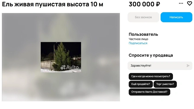 Источник: Авито