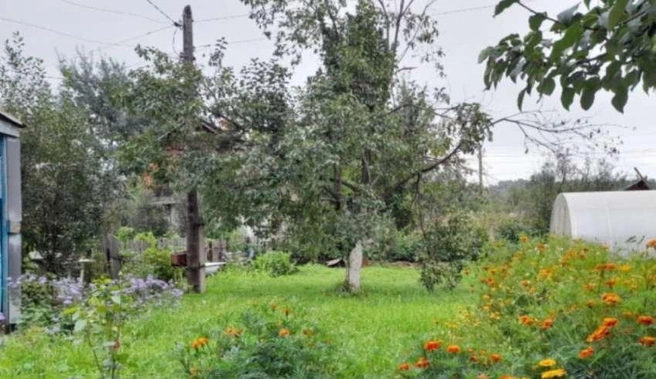 На любом этапе до изъятия земли владелец может исправить ситуацию и привести участок в норму | Источник: nk-tv.com