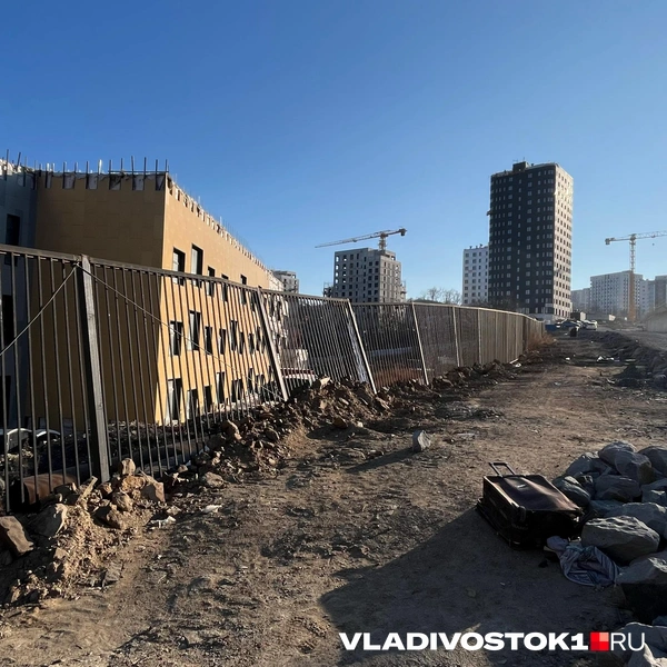 Источник: Елена Буйвол / VLADIVOSTOK1.RU