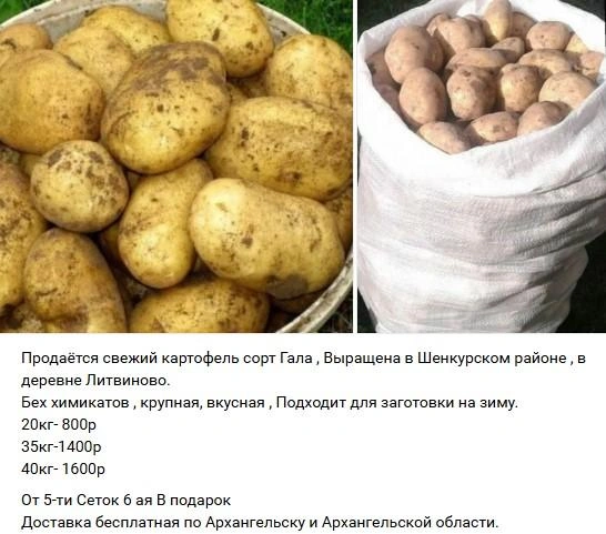 Источник: Мой рынок Архангельск Северодвинск Новодвинск / Vk.com