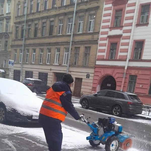 Источник: Комитет по благоустройству Петербурга