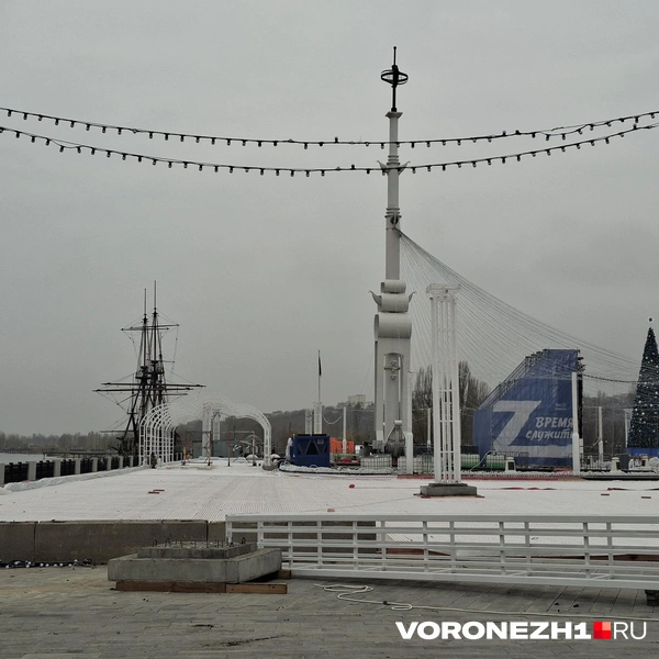 Источник: Алёна Воропаева / Voronezh1.ru