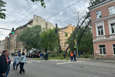Сильный ветер повалил дерево на улице Комсомола