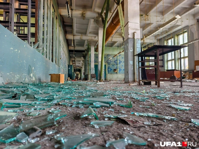 Жизнь покинула это пространство | Источник: Булат Салихов / UFA1.RU