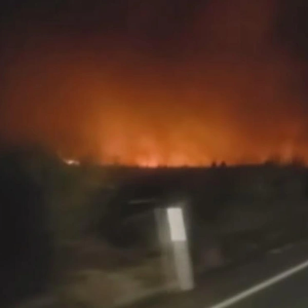 Источник: скриншот @StuffNewZealand