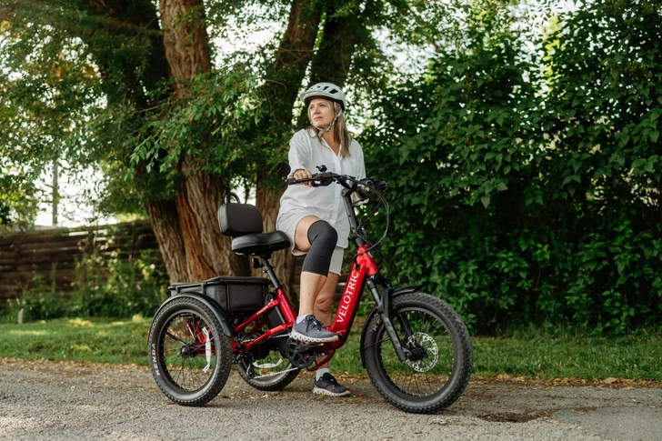 Источник: Velotric