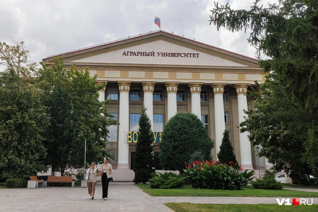 Аграрный университет утопает в зелени | Источник: Алексей Волхонский / V1.RU
