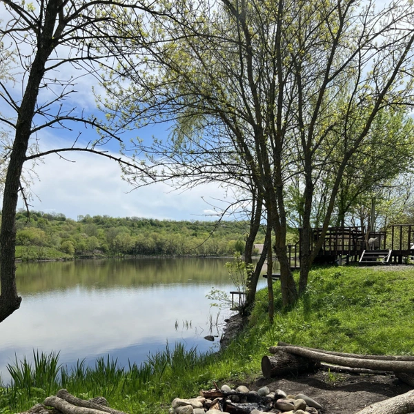 Рыбу можно пожарить прямо на территории | Источник: Priozerieglamping.ru