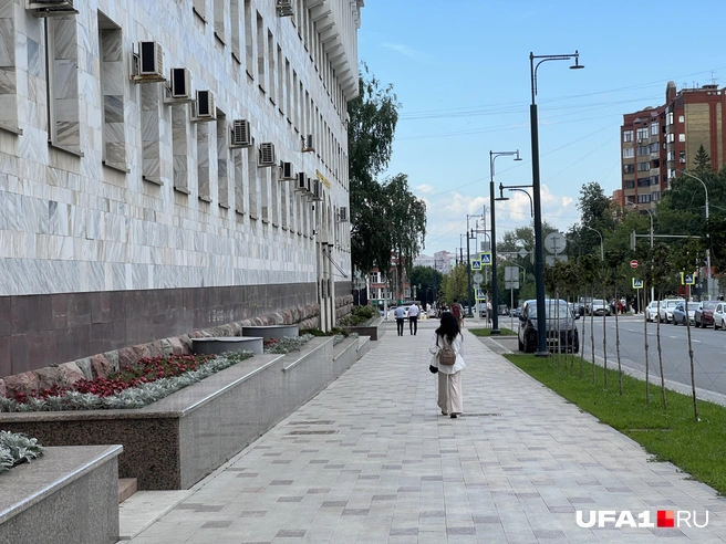 Деревья спилили | Источник: Андрей Бирюков / UFA1.RU