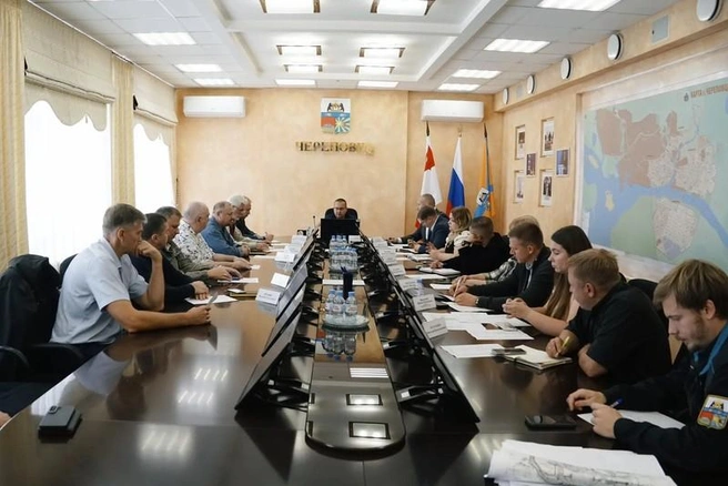 Источник: st.cherinfo.ru