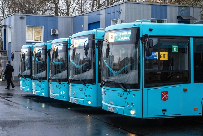 Для развития маршрутной сети горэлектротранспорта его еще нужно закупить | Источник: Михаил Огнев/Mikhail Ognev