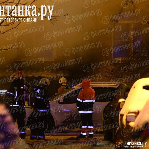 Источник: Дарья Драй / «Фонтанка.ру»