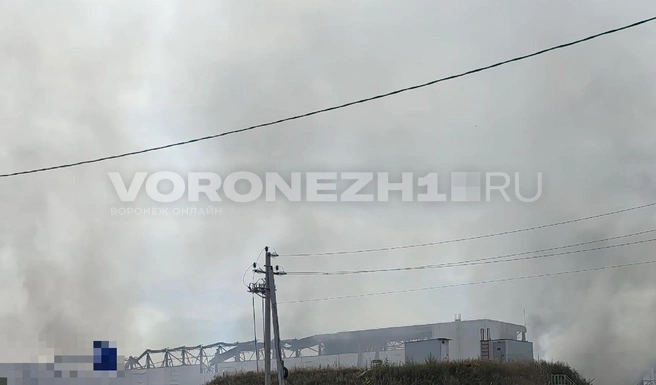 Источник: Андрей Пашинский/ Voronezh1.ru