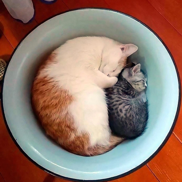 Источник: соцсети