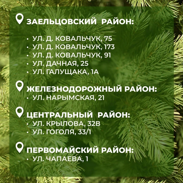 Посмотрите адреса официальных торговых точек в карточках  | Источник: Максим Кудрявцев / Telegram