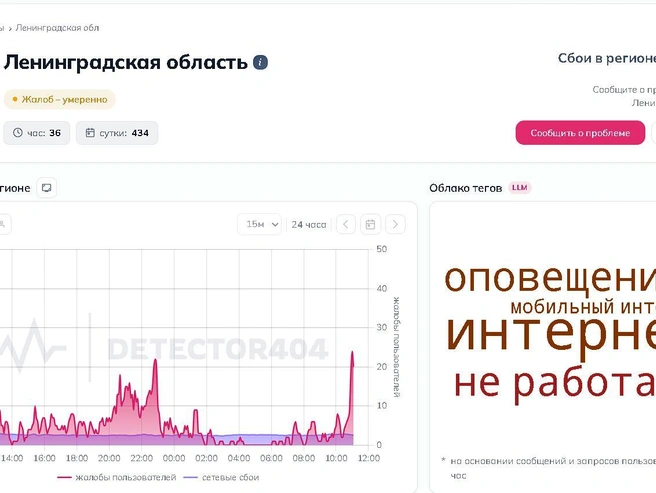 Источник: detector404.ru
