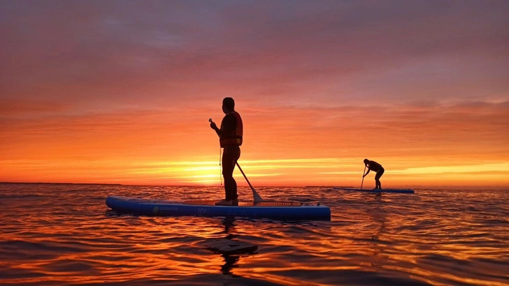 K&#246;nig Surf Club