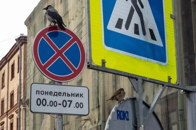 5 мая — День Луки: что нельзя делать и почему
