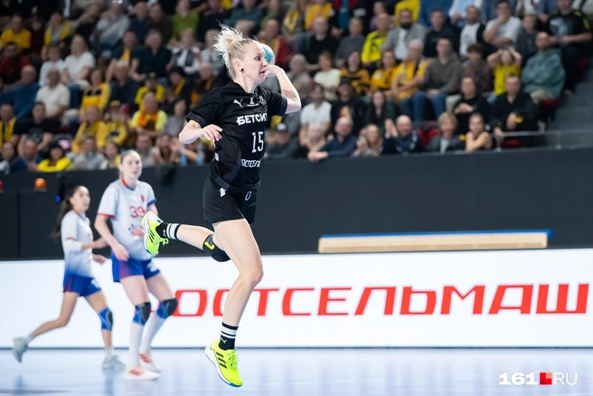 Источник: Евгений Вдовин / 161.RU