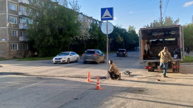 На месте трагедии быстро сделали «лежачие полицейские» | Источник: читатель E1.RU Екатерина