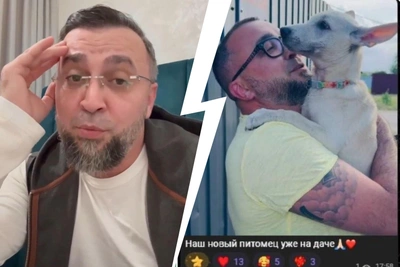 Живодер-блогер в Подмосковье: москвичи требуют наказания