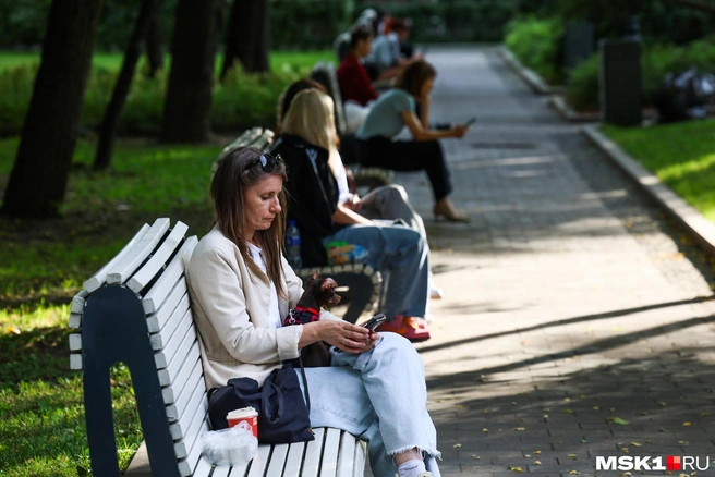 Читайте, что происходит в Югре | Источник: Артём Устюжанин / MSK1.RU