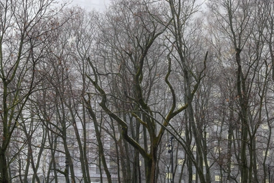 Сквер в Нижнем Новгороде назовут в честь учёного