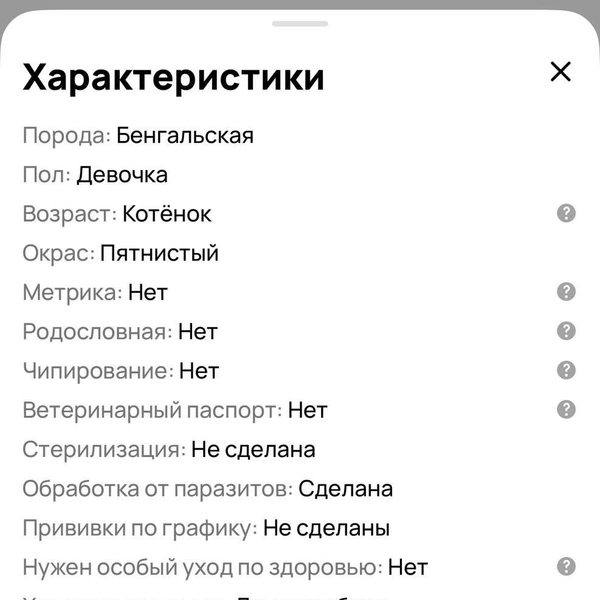 Но документов на них нет  | Источник: сайт бесплатных объявлений
