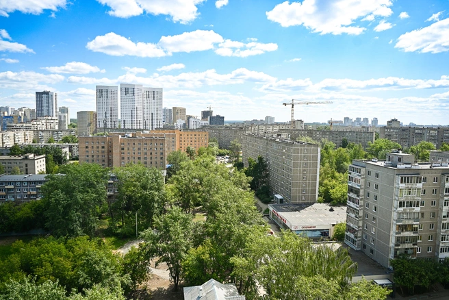 Пионерский нравится многим из-за развитой инфраструктуры, зеленых улочек и пешей доступности центра города | Источник: Максим Воробьев