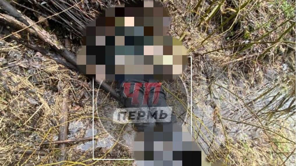 В соцсетях пишут, что в Перми нашли тело зэка, который был в розыске — что об этом известно