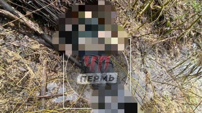 Тело мужчины нашли в Орджоникидзевском районе Перми | Источник: ЧП Пермь/ Telegram