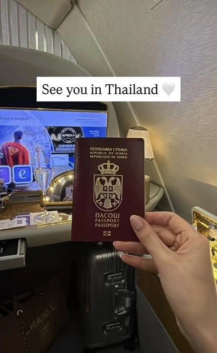 Елена публиковала у себя в сторис сербский паспорт | Источник: msjelenae / Instagram (экстремистская организация, деятельность запрещена в РФ)