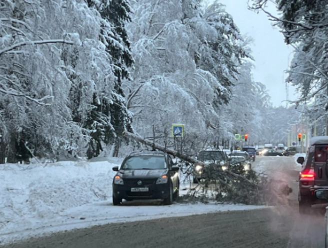 Источник: Dmitriy M./2ГИС