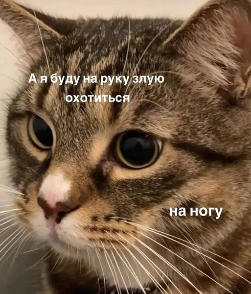 Источник: Социальные сети