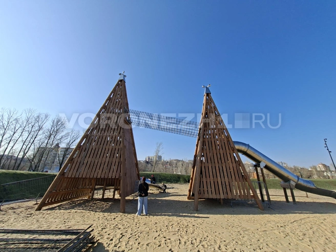 Источник: Алёна Воропаева / Voronezh1.ru