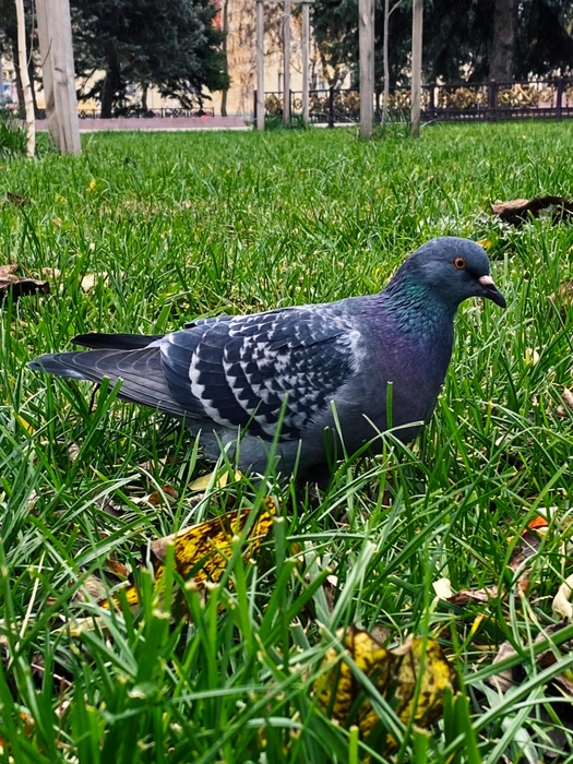 Источник: Юлия Воропаева