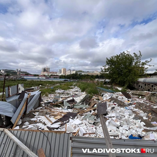 Источник: Максим Протасов / VLADIVOSTOK1.RU